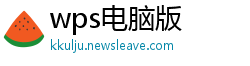 wps电脑版